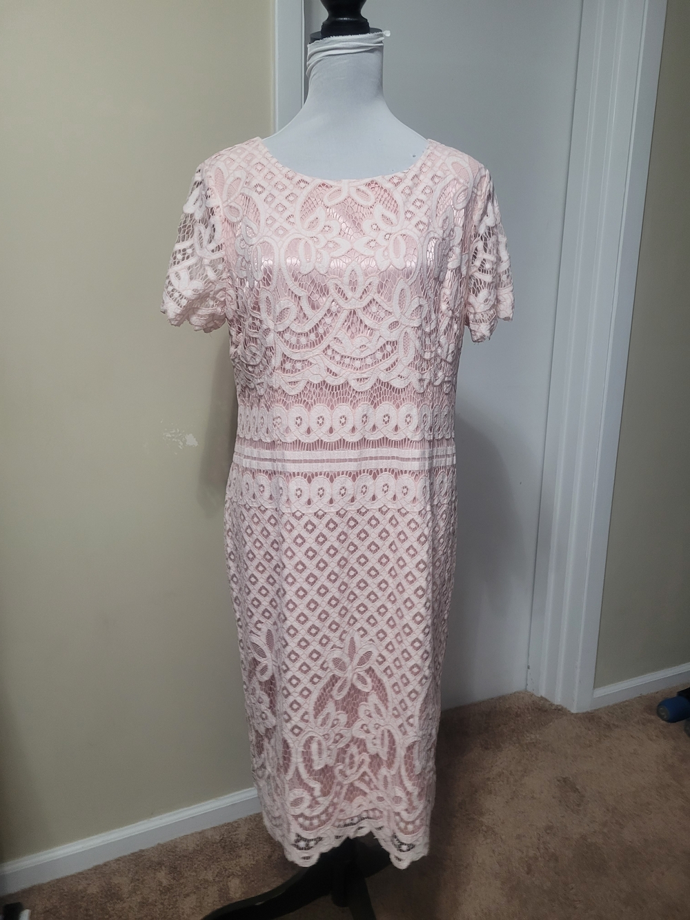 Preston & York Blush Lace Midi Dress